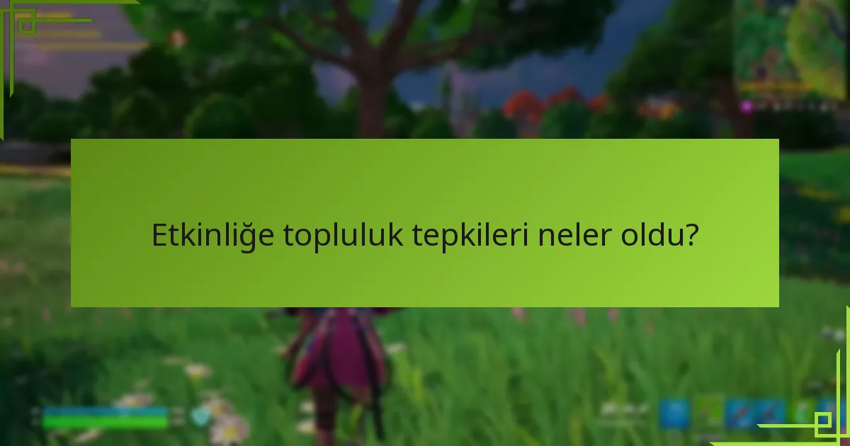 Geliştiriciler topluluk geri bildirimine nasıl yanıt verdi?